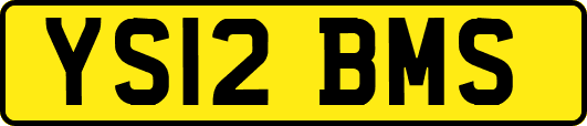 YS12BMS