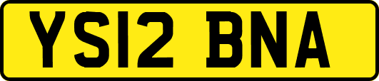 YS12BNA
