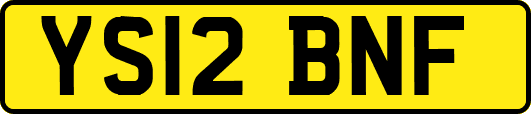 YS12BNF