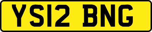 YS12BNG