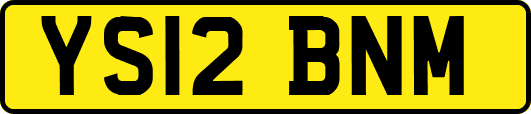 YS12BNM