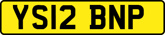 YS12BNP