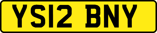 YS12BNY