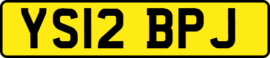 YS12BPJ