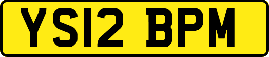 YS12BPM