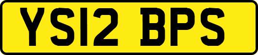 YS12BPS