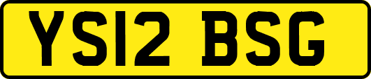 YS12BSG