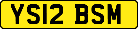 YS12BSM