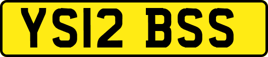 YS12BSS