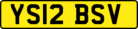 YS12BSV