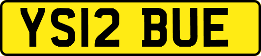 YS12BUE