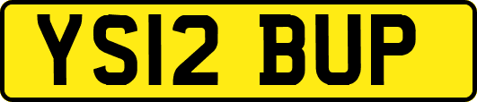 YS12BUP