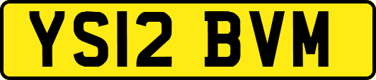 YS12BVM