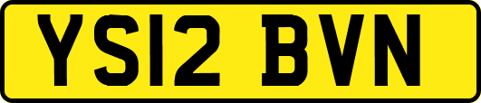 YS12BVN
