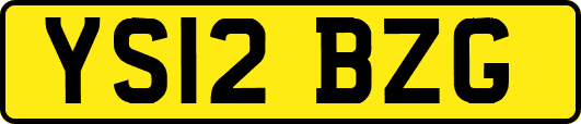 YS12BZG