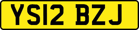 YS12BZJ
