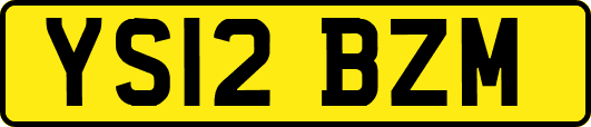 YS12BZM