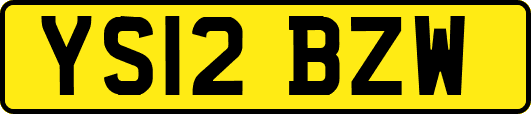 YS12BZW