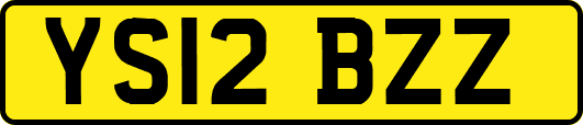 YS12BZZ
