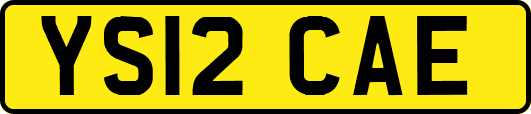 YS12CAE