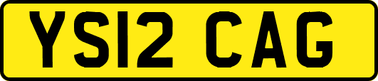 YS12CAG