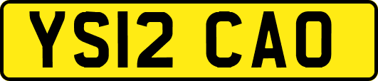 YS12CAO