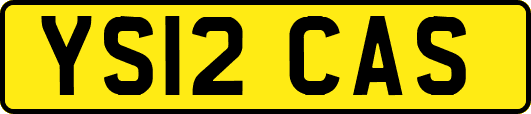 YS12CAS