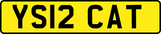 YS12CAT