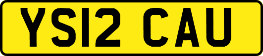 YS12CAU