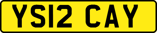 YS12CAY