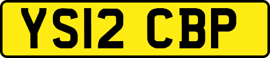 YS12CBP
