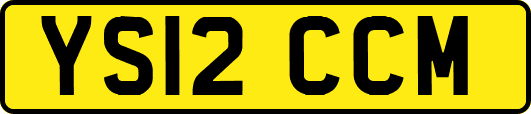 YS12CCM