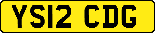 YS12CDG