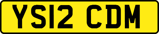 YS12CDM