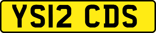 YS12CDS