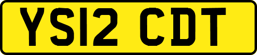 YS12CDT