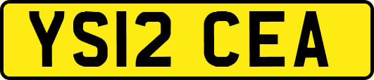 YS12CEA