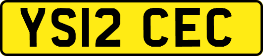 YS12CEC