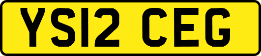 YS12CEG