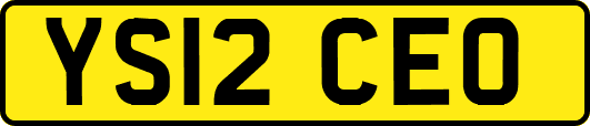 YS12CEO