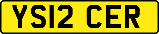 YS12CER