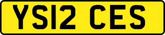 YS12CES