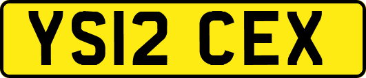 YS12CEX