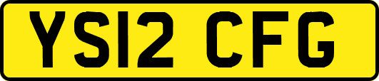 YS12CFG
