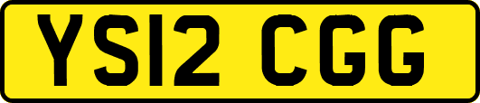 YS12CGG