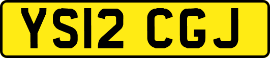 YS12CGJ