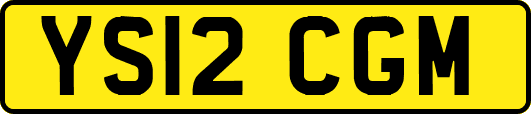 YS12CGM