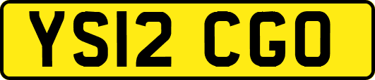 YS12CGO