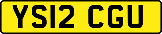 YS12CGU