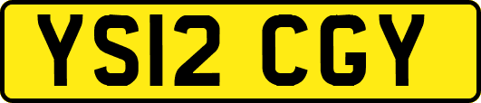 YS12CGY